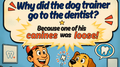 Cartoon dad joke: why did the dog trainer go to the dentist? Because his canine was loose!