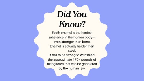 Did You Know??