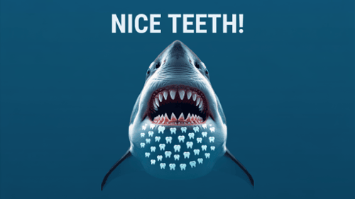 Fear-the-Week--Not-the-Dentist